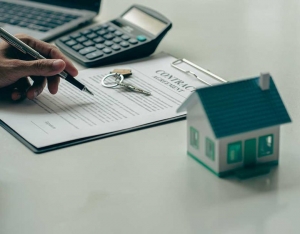 Homeowners' Essentials: A Brief Guide to Property Ownership & Laws Homeowners' Essentials: A Brief Guide to Property Ownership & Laws